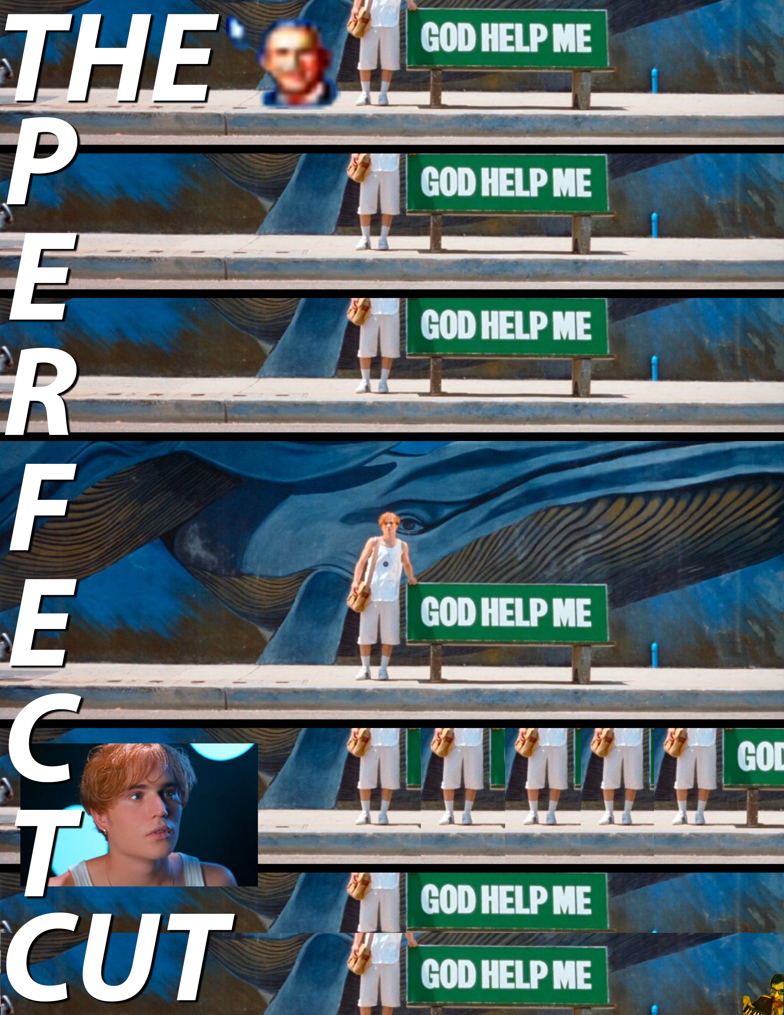 The Perfect Cut poster